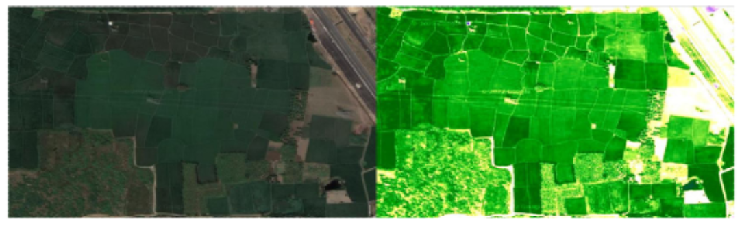 Smarticulture: Novel AI-Powered Farming Technique for Crop Yield Optimization
